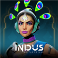 印度河大逃杀 Indus BR