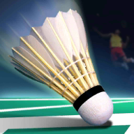 Real Badminton