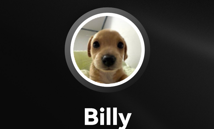 怎么购买BILLY币?哪个平台能买到BILLY币?