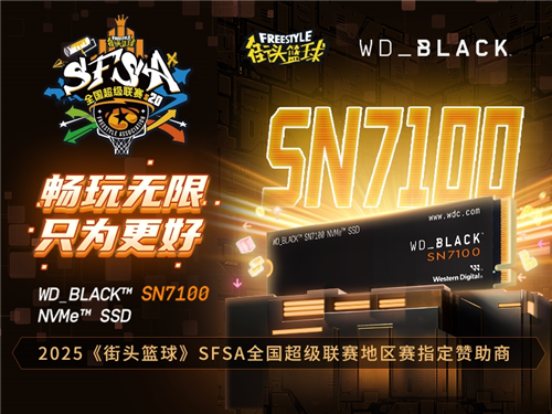WD_BLACK助力《街头篮球》SFSA全国超级联赛