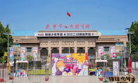 “排球少年手游半周年庆·赏樱会”圆满举办，体育与二次元碰撞燃动津城