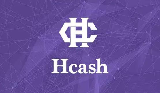 HC币投资指南：发行量、价值深度解析