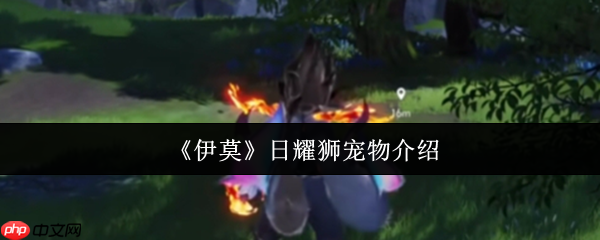 伊莫日耀狮宠物全解析：新手开荒的黄金利爪