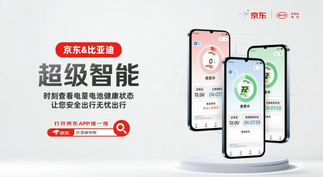 比亚迪电池与京东汽车达成合作，上线全网首家官方店铺