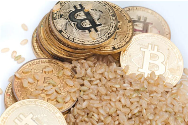 虚拟币众筹：掘金数字货币新机遇？