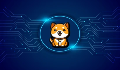 BabyDoge币发行人揭秘：神秘团队背后的故事