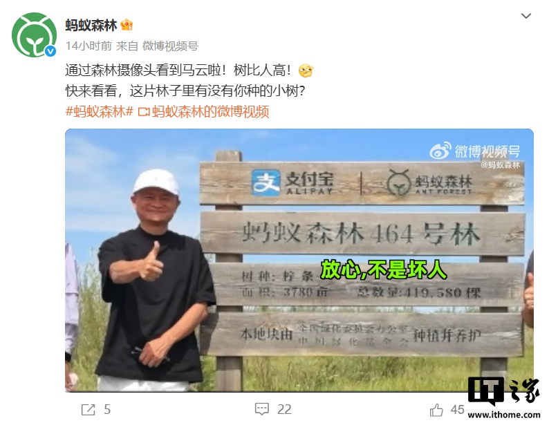 马云时隔六年再次探访蚂蚁森林，和树比高
