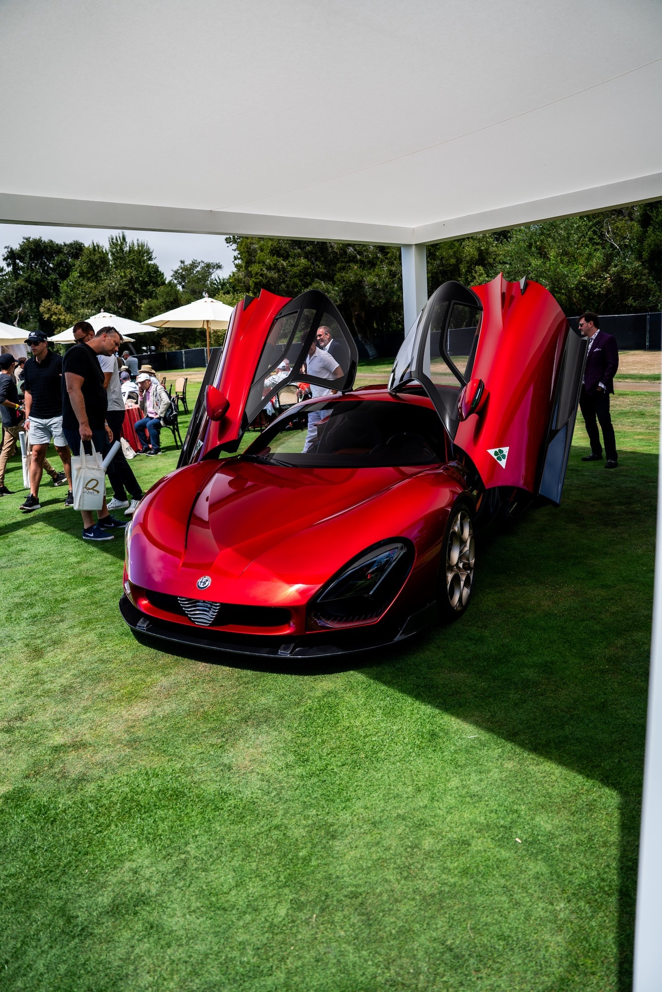仅 33 辆：阿尔法・罗密欧 33 Stradale 美国首秀，号称“全球最美汽车”