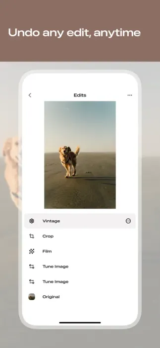 四年来首次大版本更新，谷歌 Snapseed 修图 App 上线 iOS 3.0 版