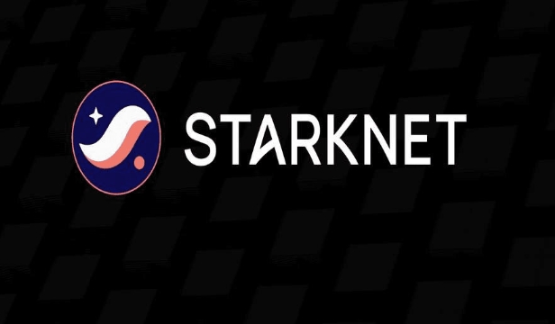 STRK币投资指南：Starknet生态潜力解析