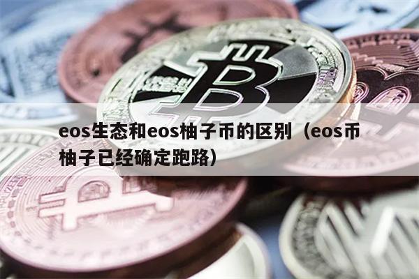 EOS生态与柚子币区别：跑路真相揭秘