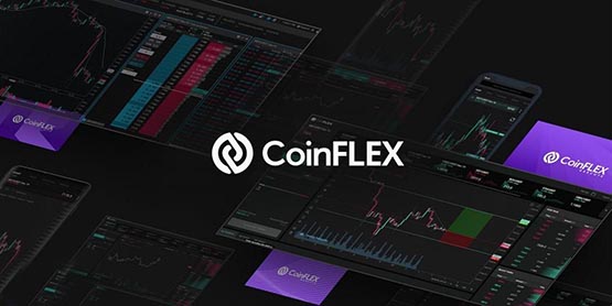 FLEX币详解：颠覆传统金融的新型数字货币