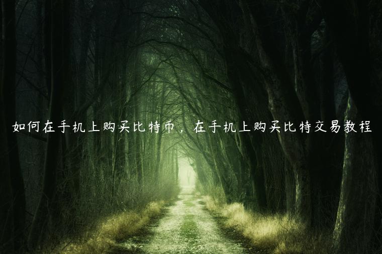 手机买币指南：新手轻松购比特币教程
