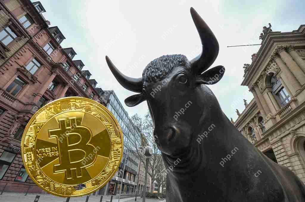 比特币估值拐点：看涨信号闪现