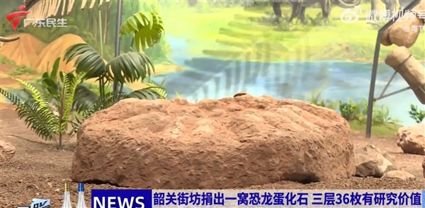 收藏家35年守护恐龙蛋化石：36枚珍品捐赠博物馆 最大直径达18厘米