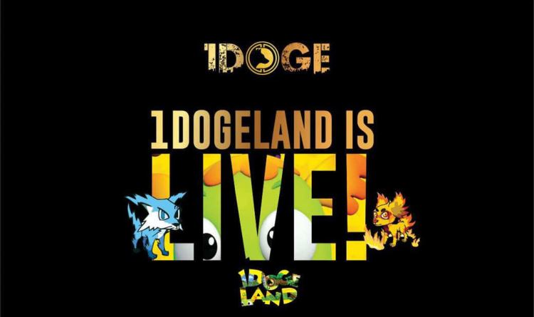 1DOGE总量揭秘：10亿枚开启游戏赚币时代