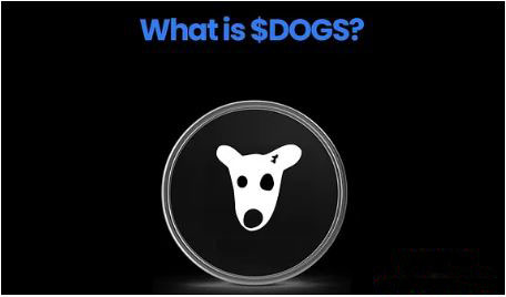 TON链DOGS币：迷因币的慈善新星？
