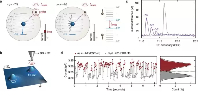 科学家首次实时观测到原子核自旋翻转,突破量子测量极限