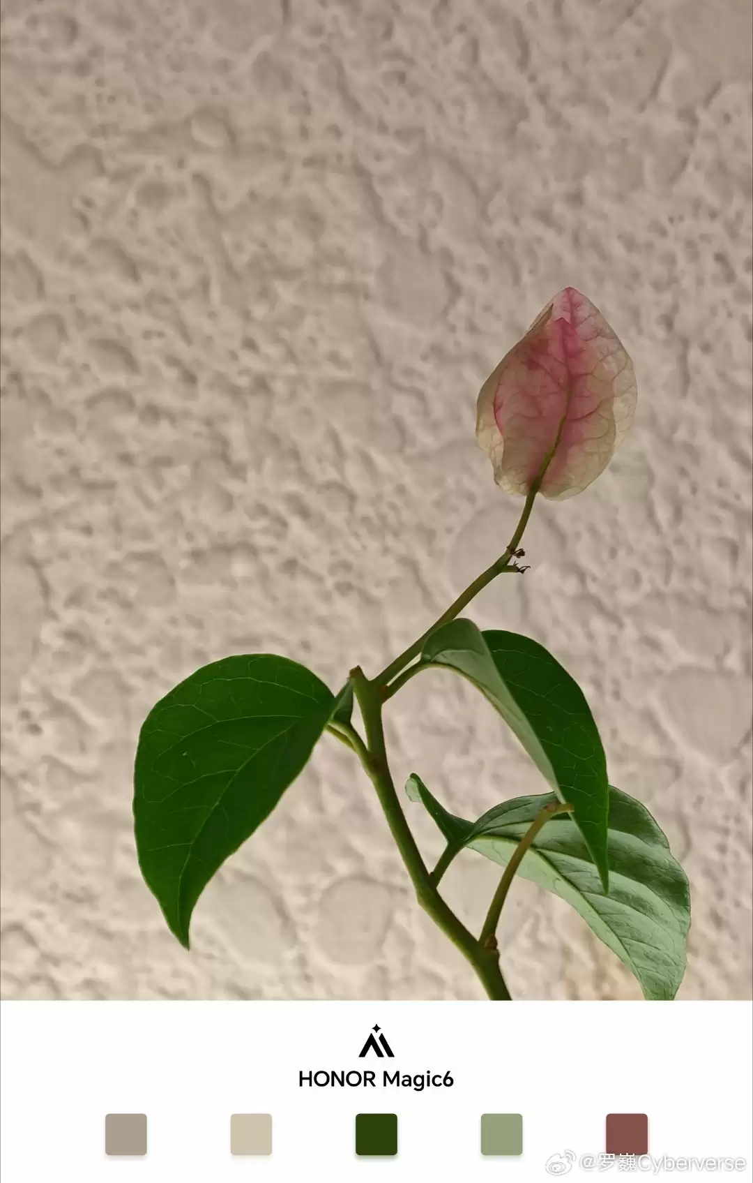 荣耀 AiMAGE 影像全新水印曝光,罗巍透露色块设计元素“是有用的”