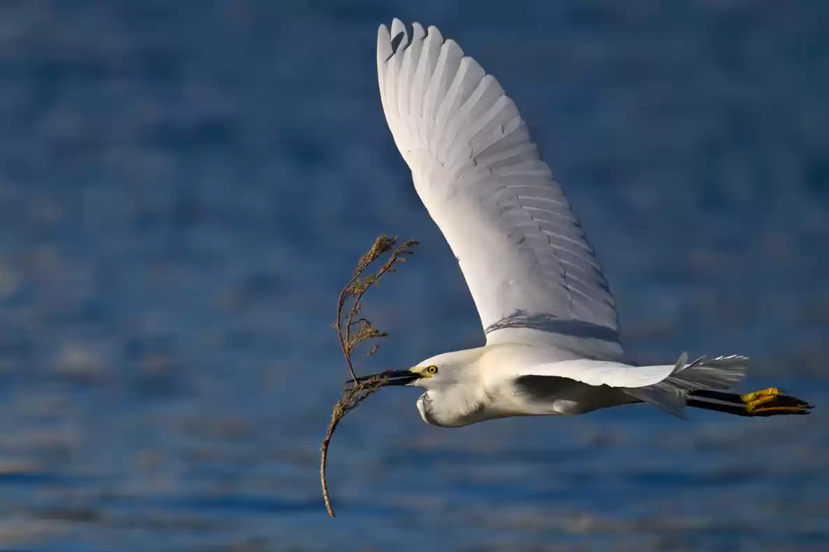 致敬时代记录者，尼康助力新闻工作者捕捉真相