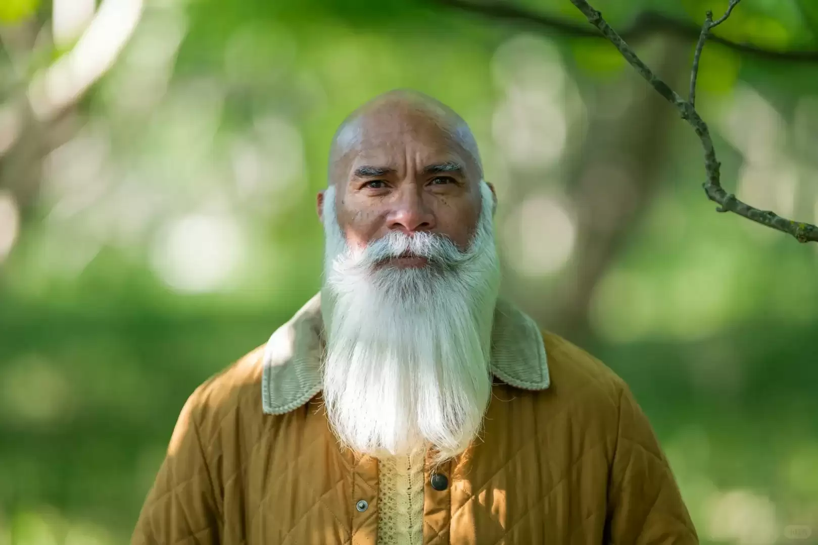 适马 135mm f/1.4、20-200mm f/3.5-6.3、35mm f/1.2 三款镜头渲染图曝光