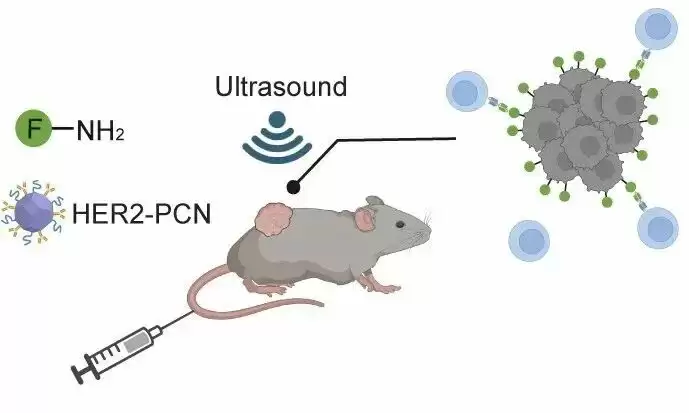免疫治疗重要突破:我国科研人员开发出可精准识别癌细胞的“纳米标记机器人”