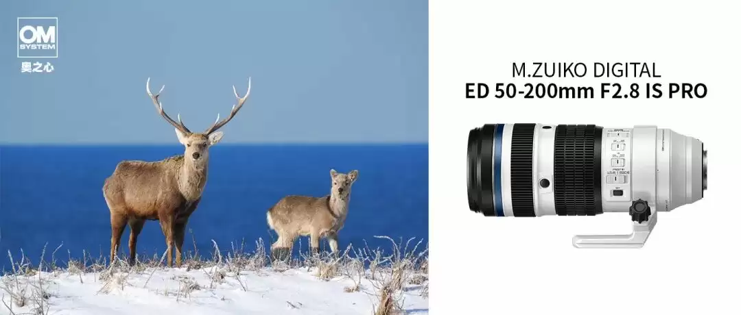 奥之心发布 50-200mm F2.8 IS PRO 变焦镜头，仅重 1075g