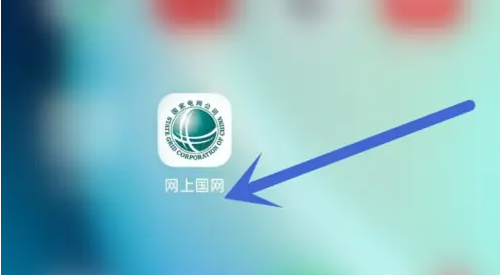国家电网app会员中心在哪里 网上国网打开会员中心方法