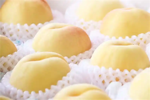 干到中国第一！最“硬核”的小县城，诞生了
