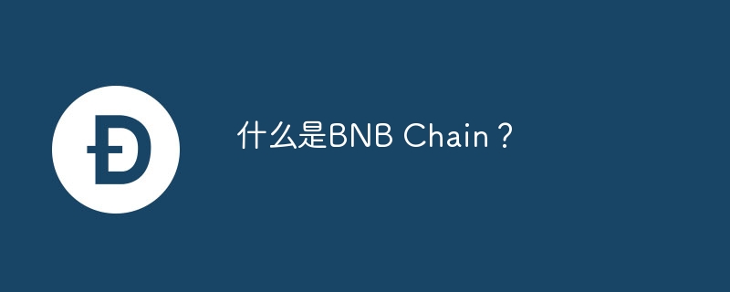 BNB Chain揭秘:Web3生态系统全解析