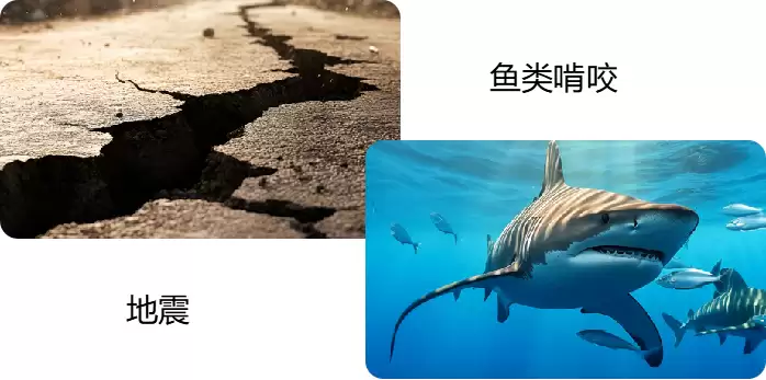 解码海底光缆：维系全球信息的海底“大动脉”