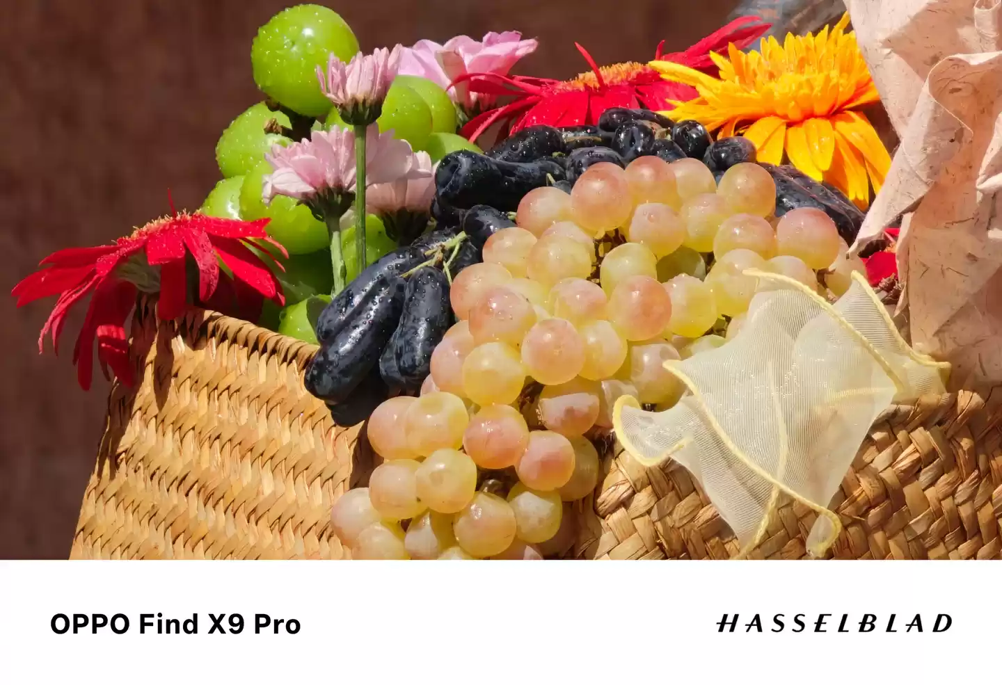 “这质感，真 TM 相机”：刘作虎透露 OPPO Find X9 系列首次全系普及「丹霞色彩还原镜头」，下月亮相