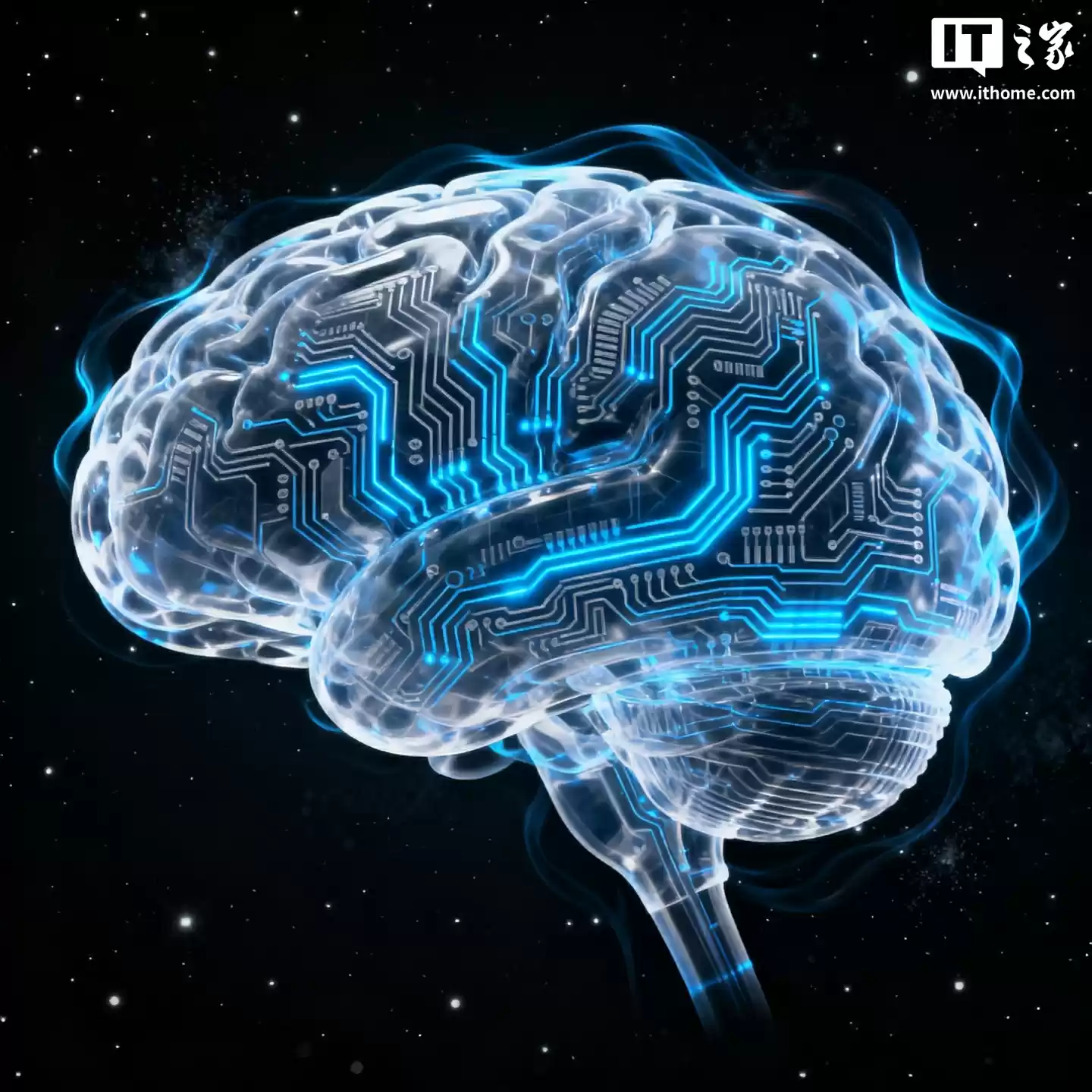 视觉感知非被动过程，新研究发现大脑通过复杂计算构建你看到的世界