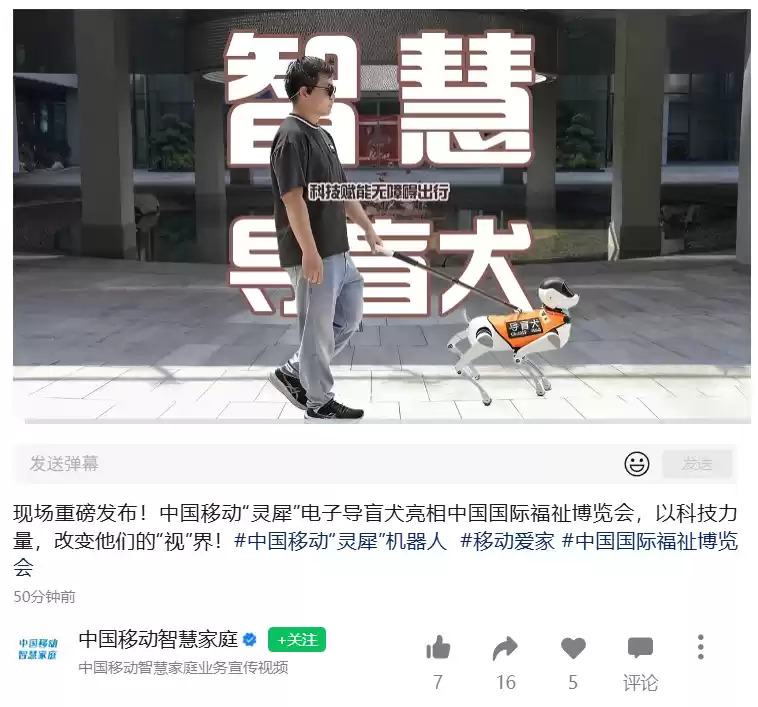 电子导盲犬技术介绍