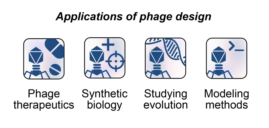 噬菌体对抗耐药菌