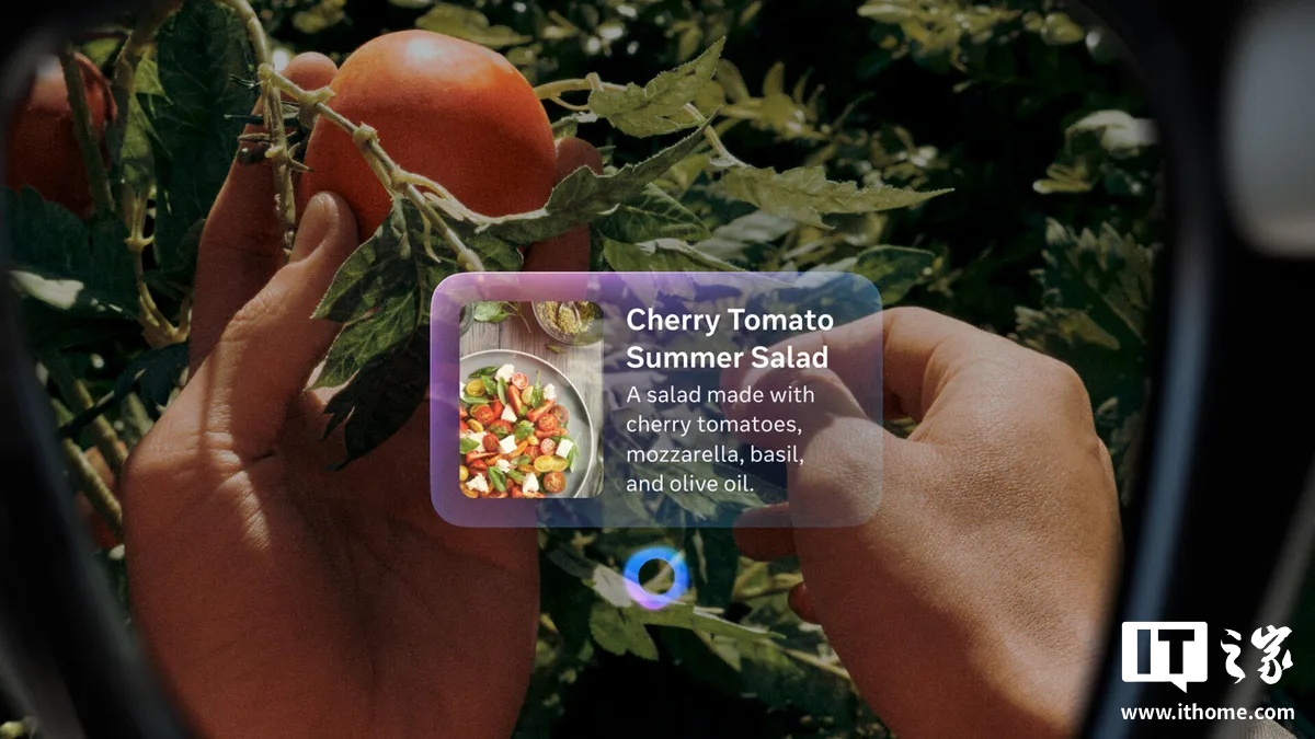 Meta