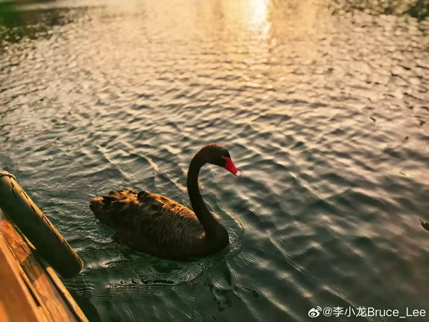 华为李小龙解答为何鸿蒙版微博照片显示不出