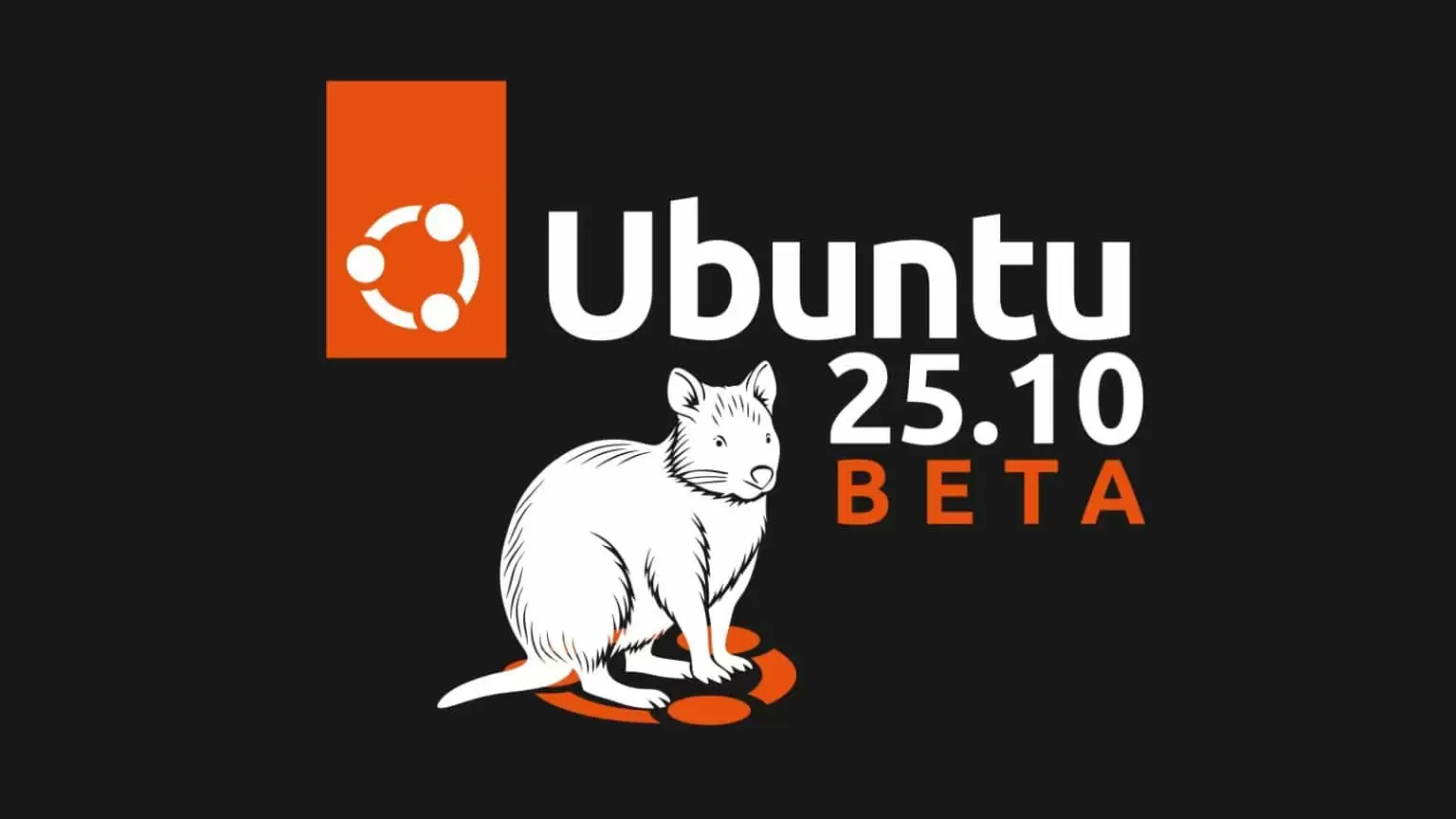 Ubuntu安装界面