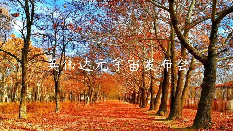 英伟达元宇宙发布！欧意APP抢先体验