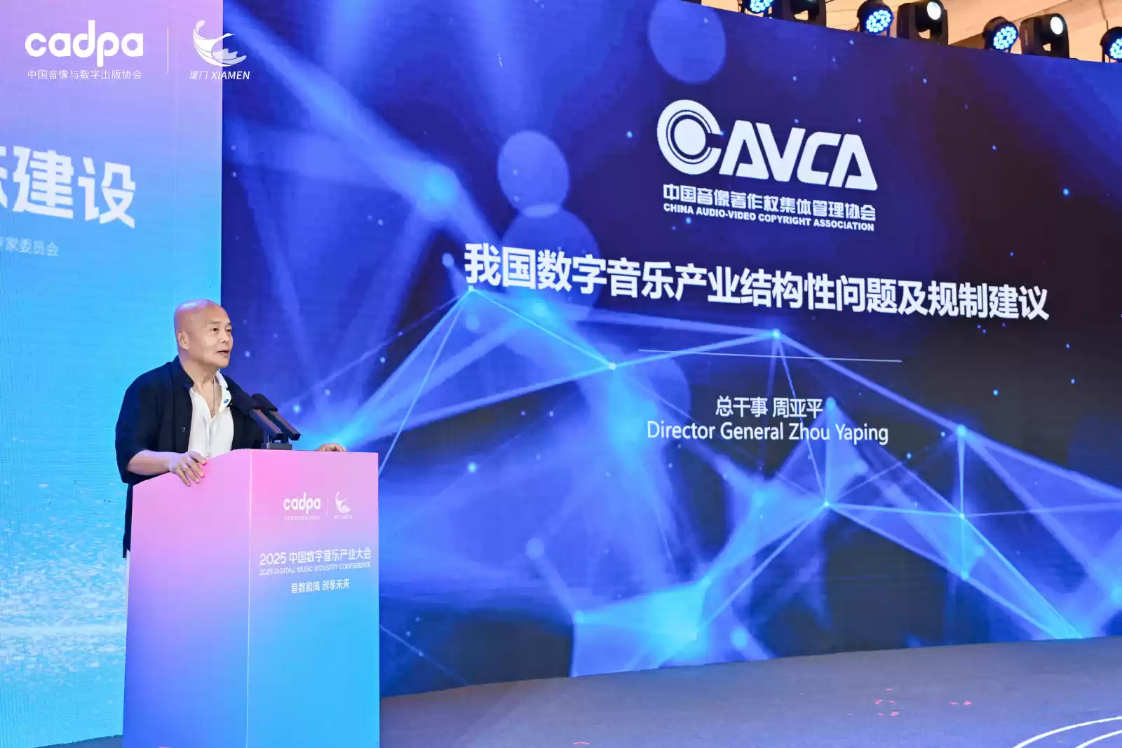 周亚平副理事长演讲现场