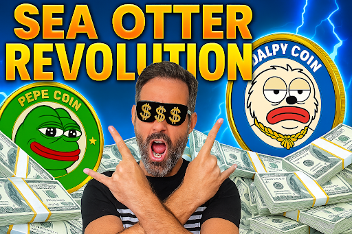 暴躁海獭Dalpy：表情包席卷加密圈？