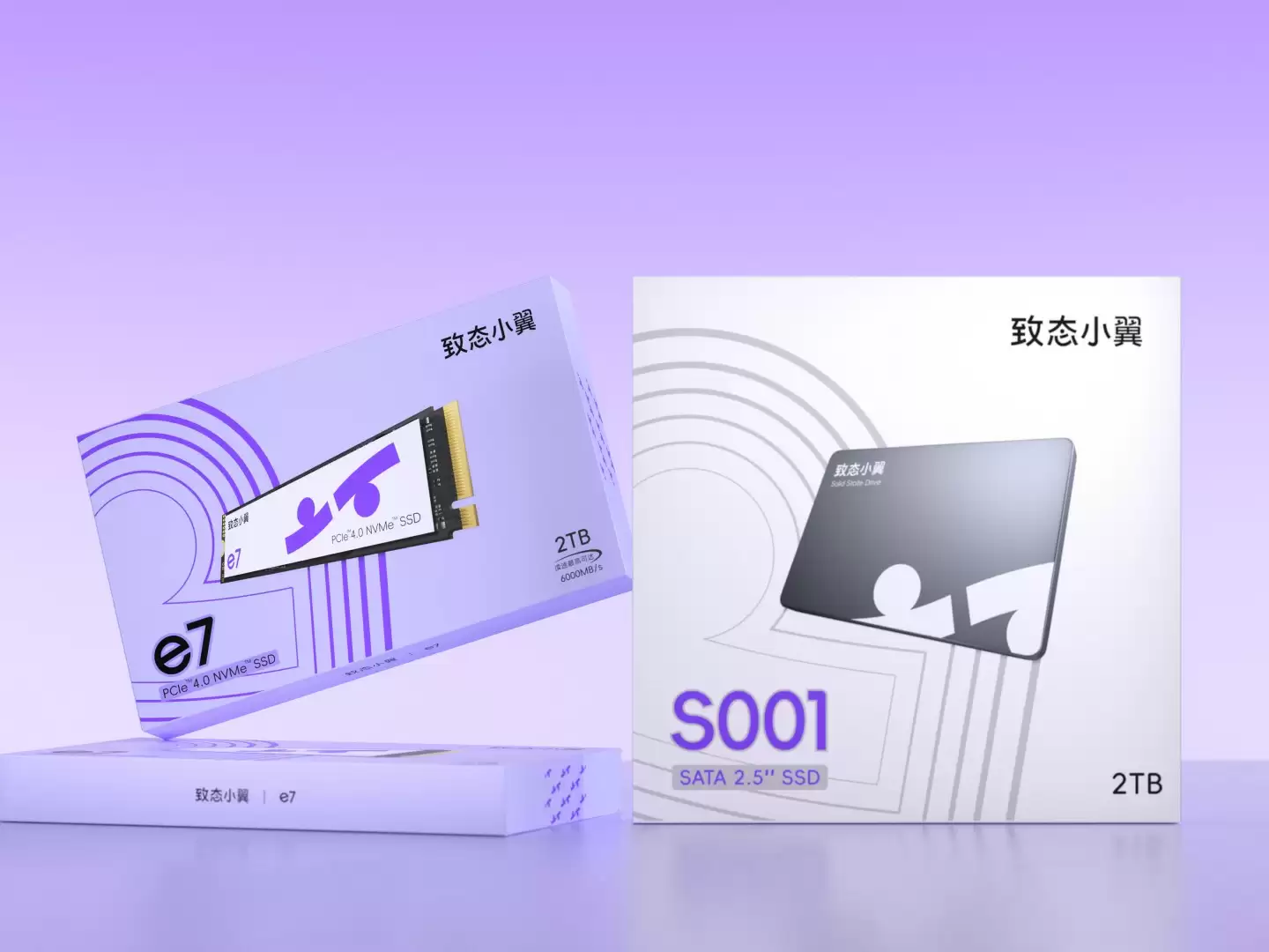 致态推出旗下新品牌致态小翼，新品