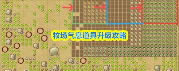 牧场气息道具升级技巧与详细攻略