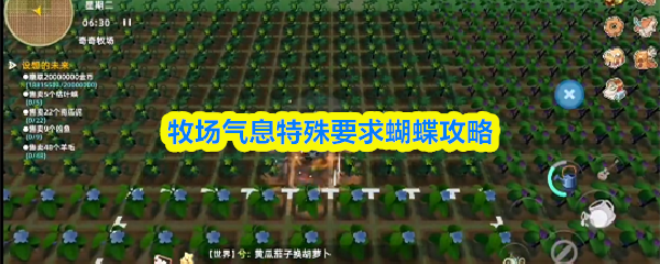 牧场物语蝴蝶捕捉攻略：特殊要求蝴蝶位置详解