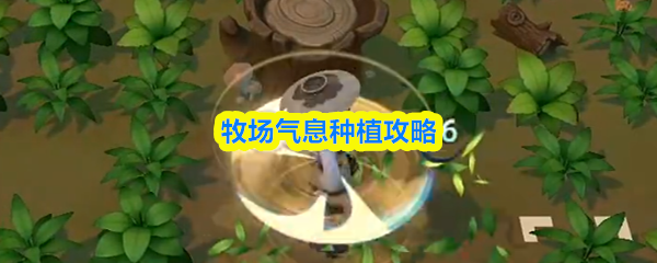 牧场土地养护指南：高效种植3个实用技巧