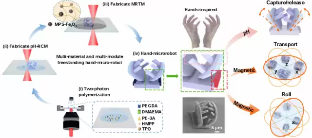 能抓细胞的机器手诞生,我国在