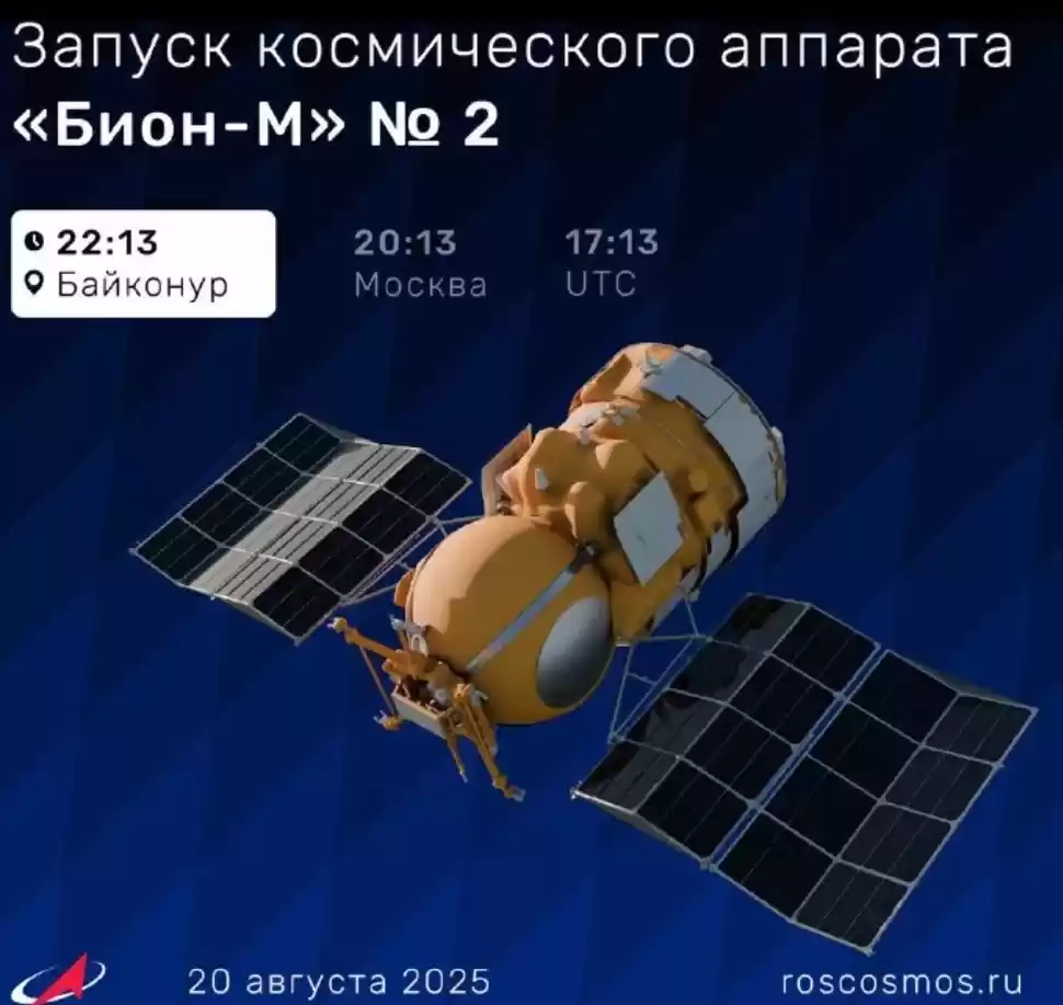 实验室研究工作