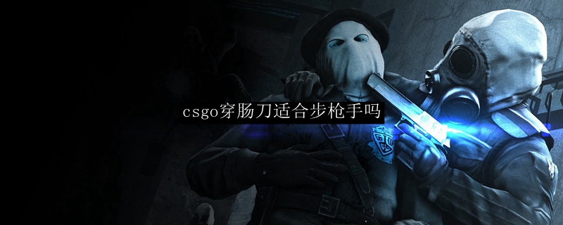 CSGO穿肠刀优缺点解析：步枪手能否适用
