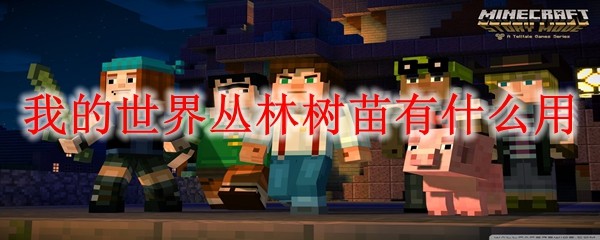 我的世界丛林树苗作用详解：种植生长全攻略