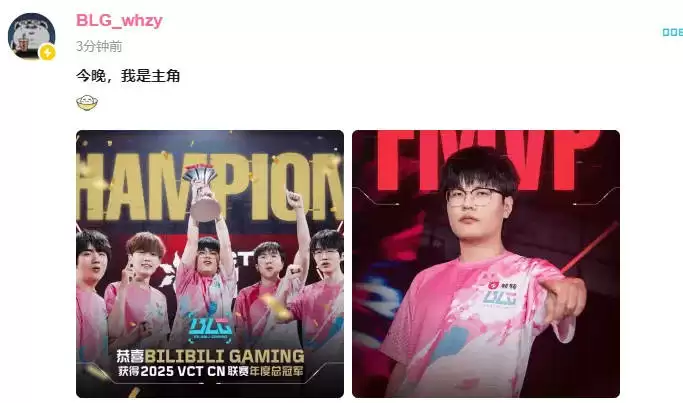 BLG夺得2025VCT